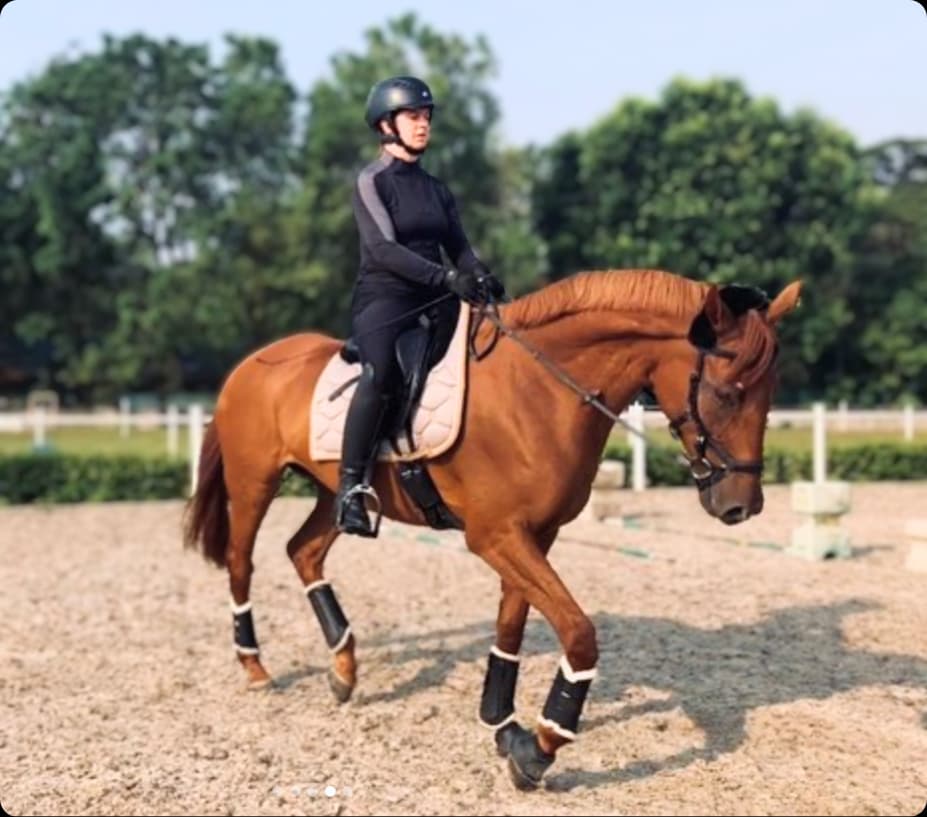 Canterly built for the operational complexity of commercial equestrian facilities